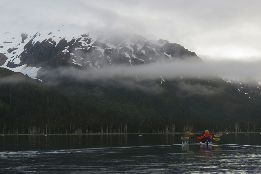 Alaska Sea Kayaking Tour Pic