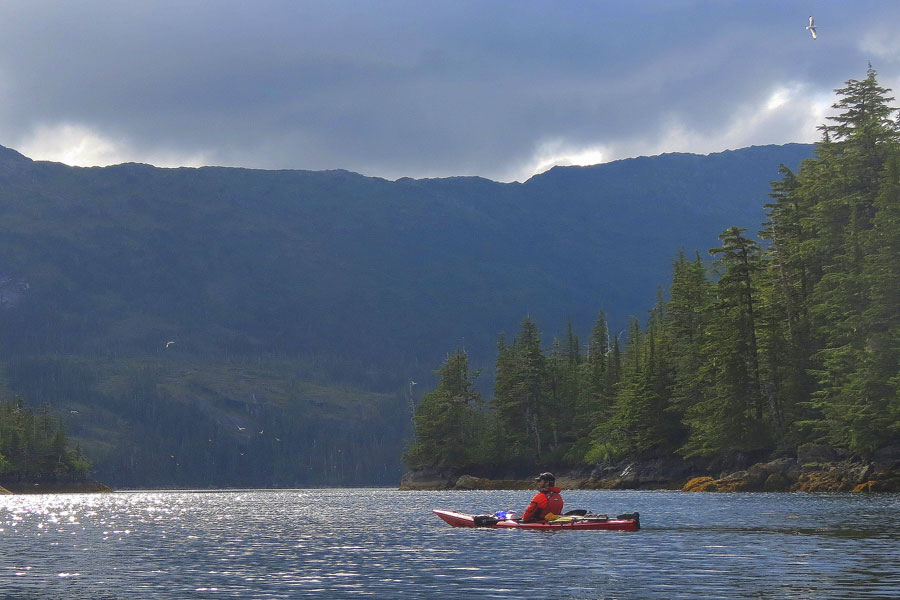 Alaska Sea Kayaking Tour Pic