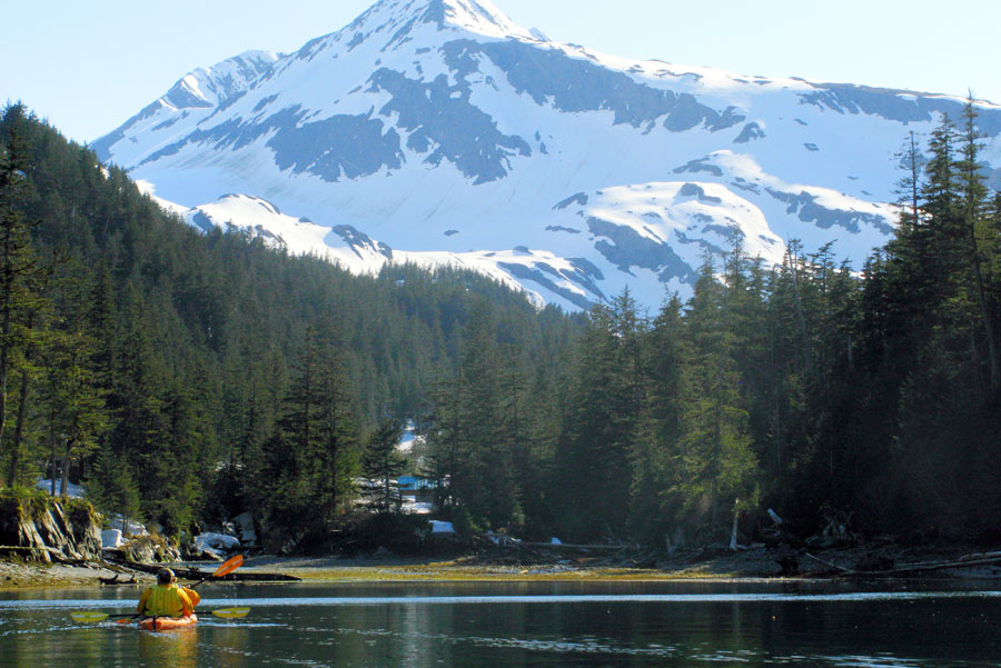 Alaska Sea Kayaking Tour Pic
